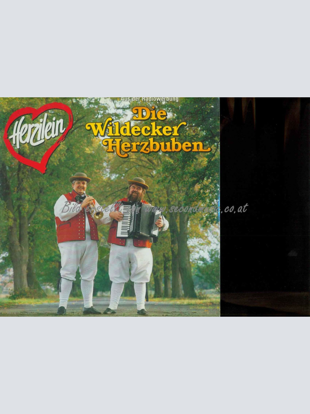 LP--Die Wildecker Herzbuben – Herzilein / NM