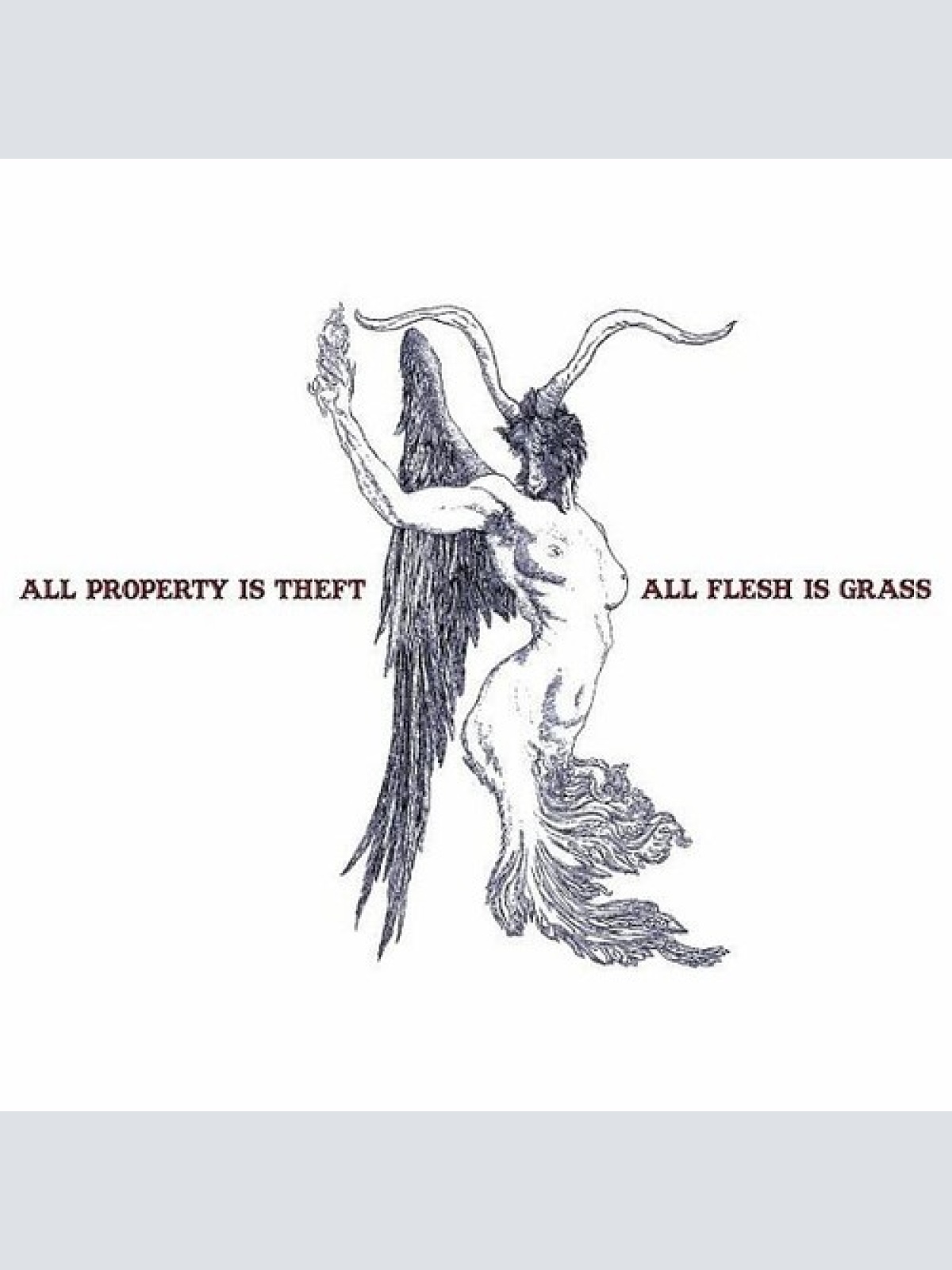 LP Geese - All Property Is Theft, All Flesh Is Grass