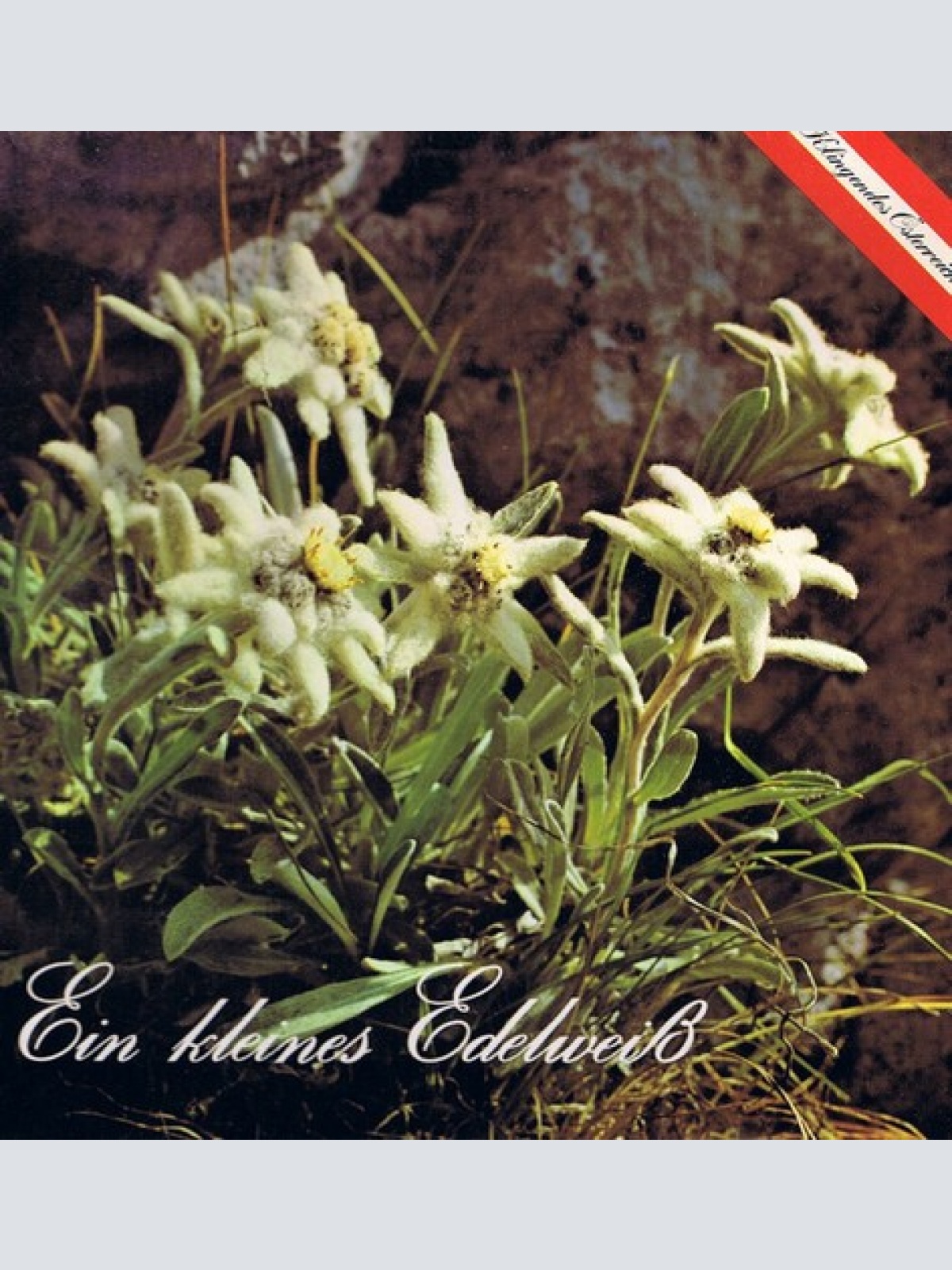 LP Various - Ein Kleines Edelweiss