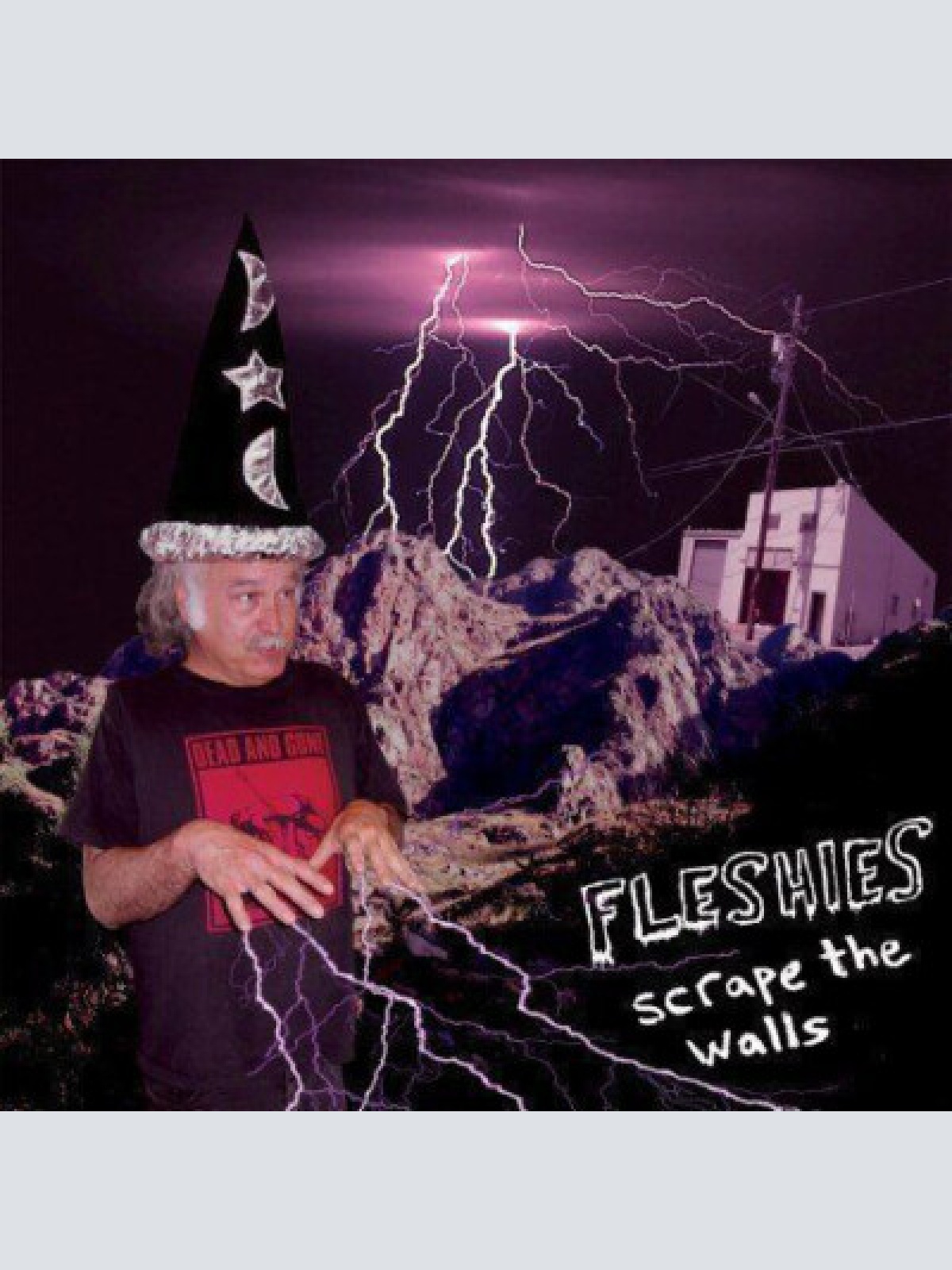 LP, Album Fleshies - Scrape The Walls