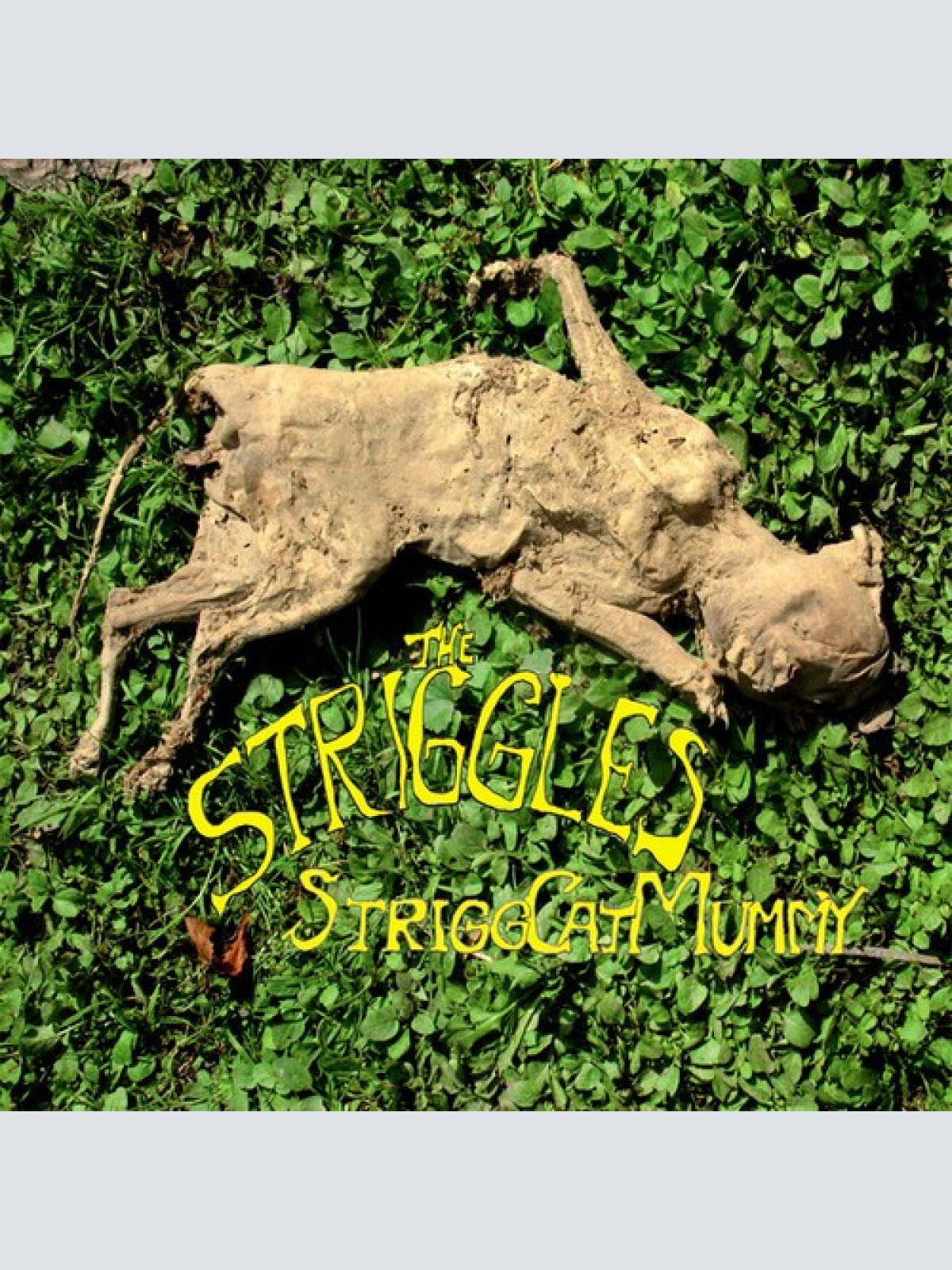 2xLP The Striggles - StriggCatMummy