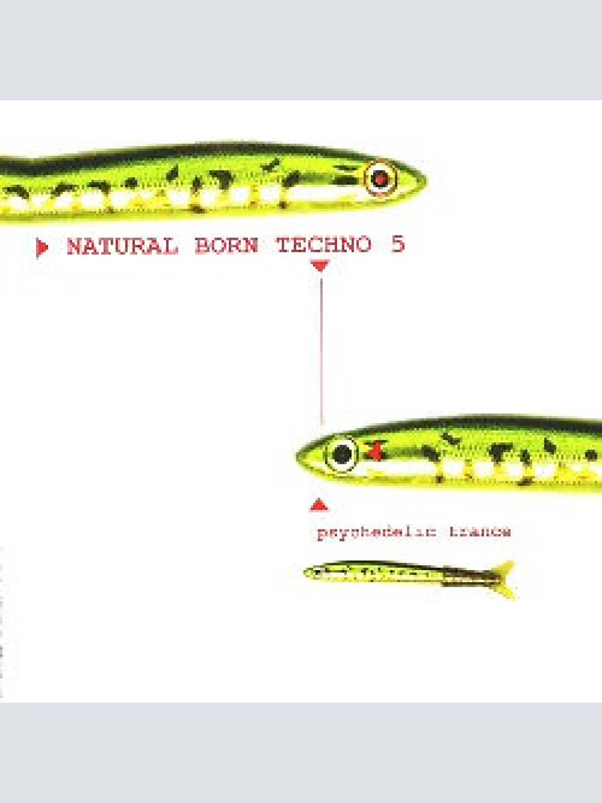 CD, Comp Various - Natural Born Techno 5:  Psychedelic Trance