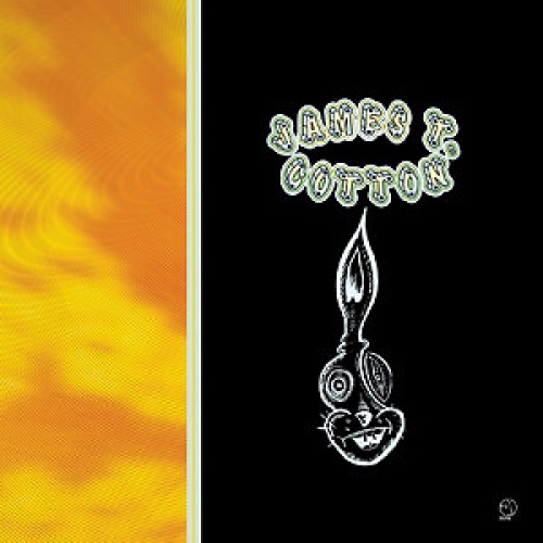 CD, Album James T. Cotton - The Dancing Box