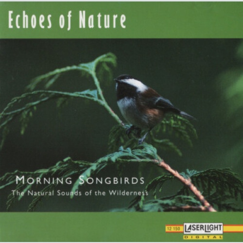 CD No Artist - Morning Songbirds (The Natural Sounds Of The Wilderness)