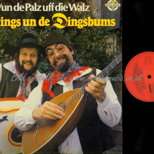 LP--De Dings Un De Dingsbums – Vun De Palz Uff Die Walz /   NM