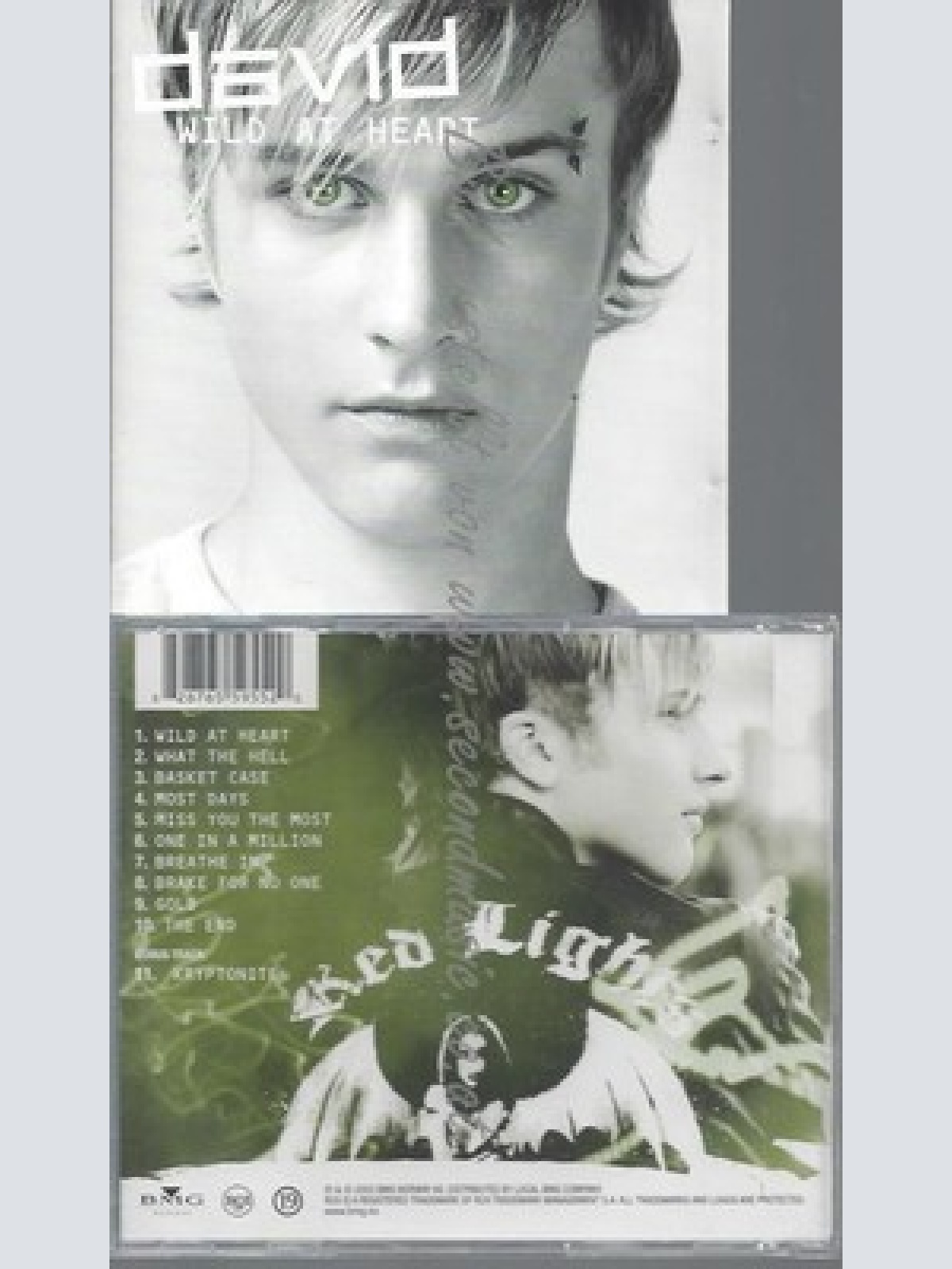 CD--DAVID--WILD AT HEART