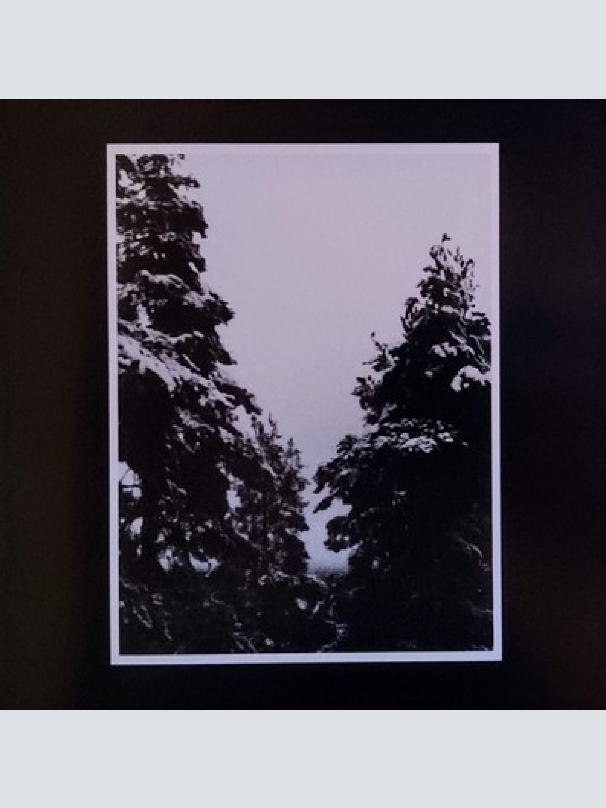 CD, Album Odious Devotion - Ilmestys