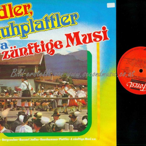 LP--Jodler, Schuhplattler und a zünftige Musi   //NM