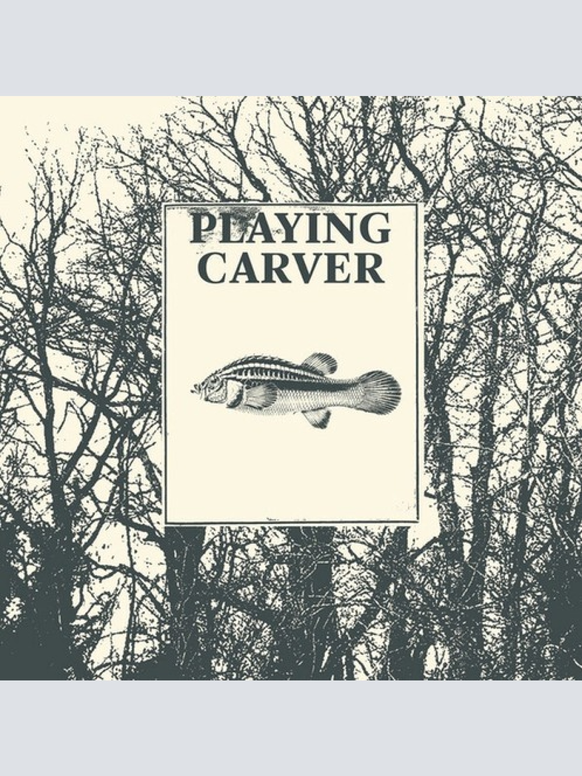 CD, Album Playing Carver - Leave The Door Open