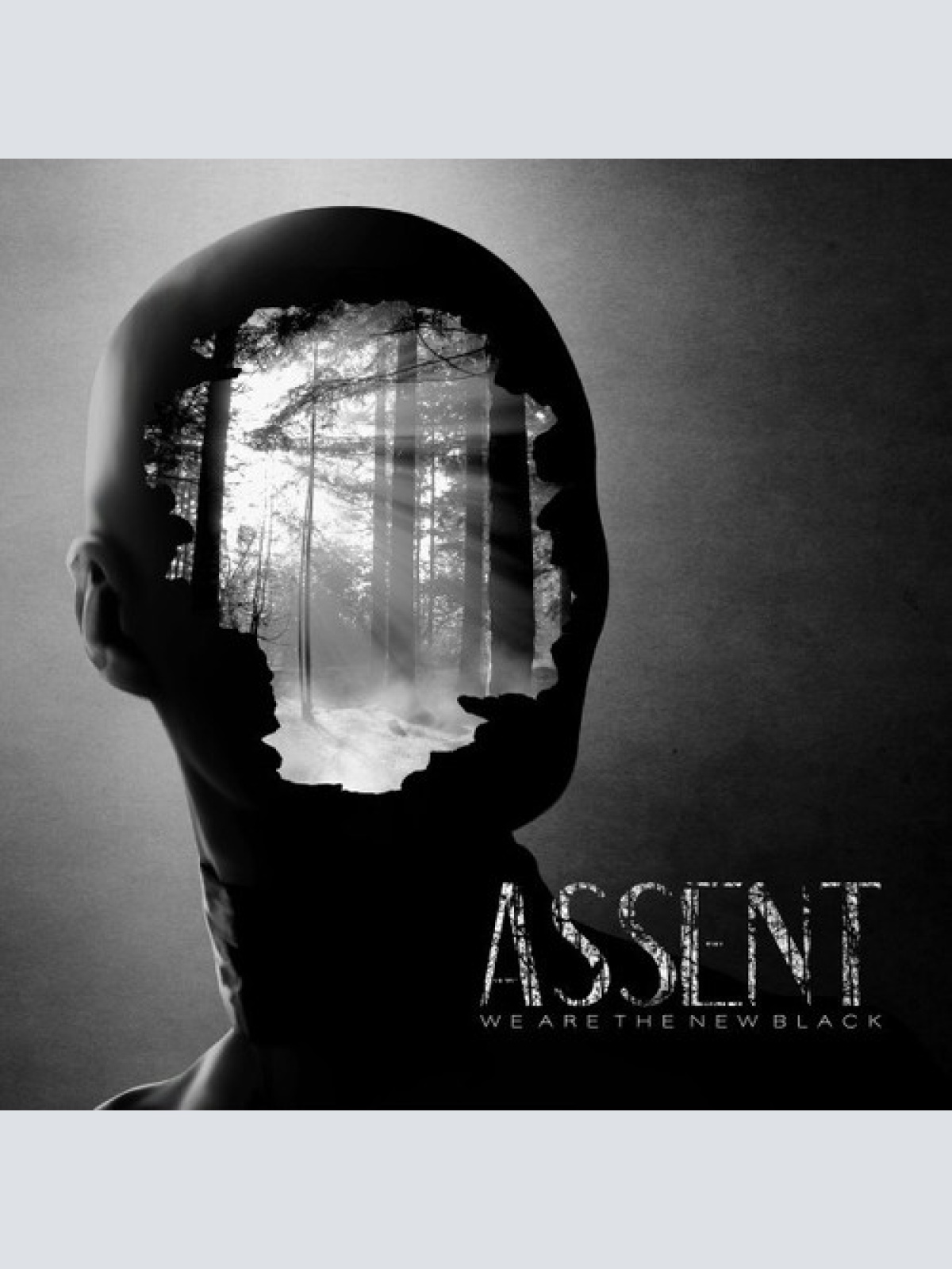 CD, Album Assent - We Are The New Black