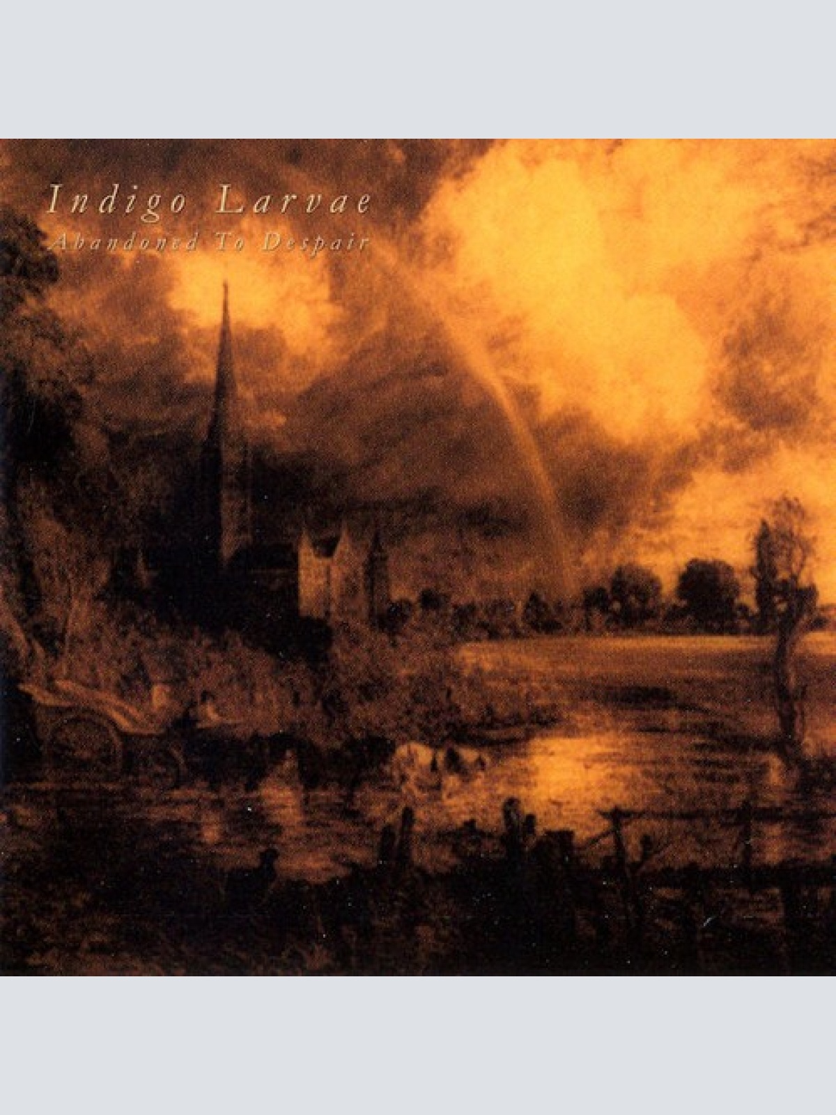 CD, Album, Ltd Indigo Larvae - Abandoned To Despair
