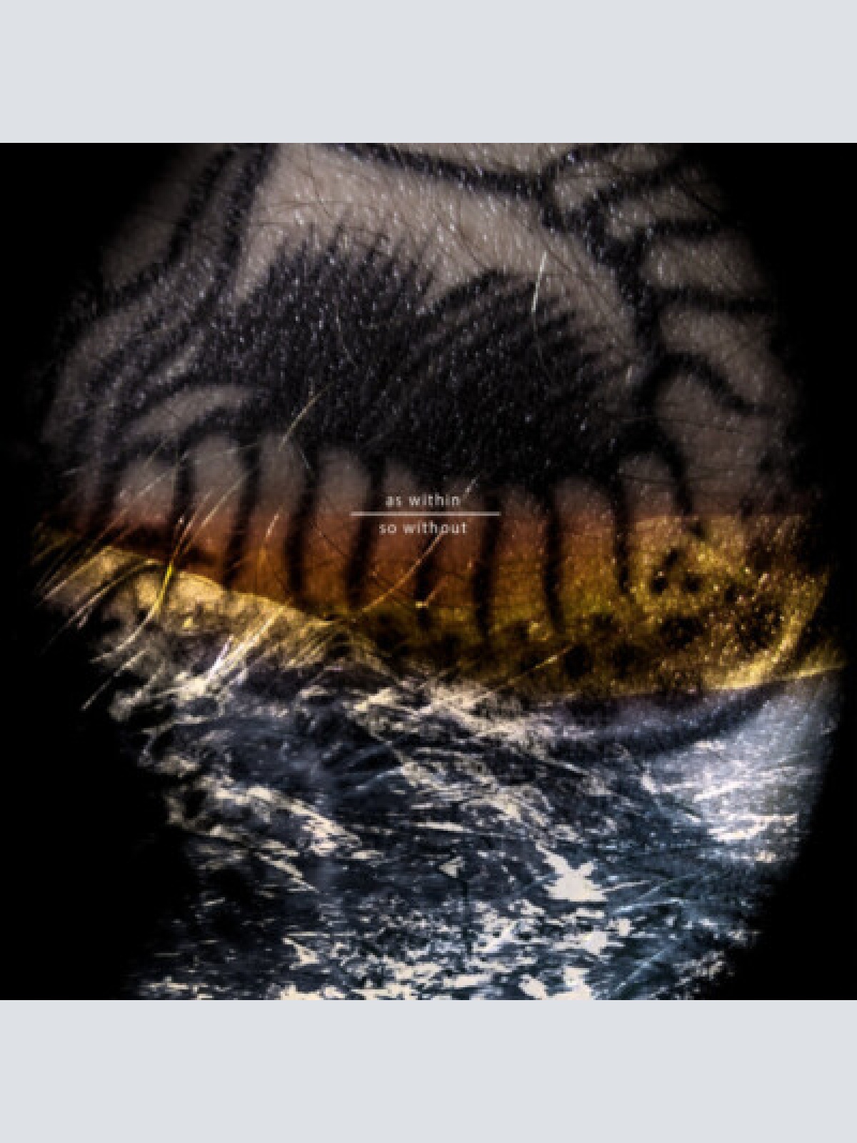 LP, Album, Ltd The Land Of The Snow - As Within, So Without