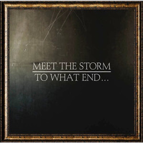 CD Meet The Storm - To What End...