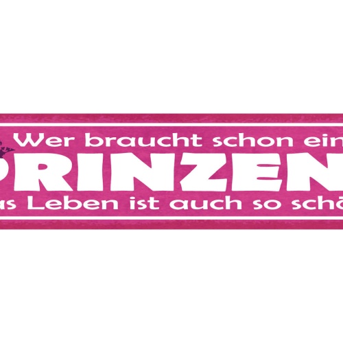 Schild Wer Braucht Schon Einen Prinzen Das Leben Ist Auch So Schön Liebe 46 x 10