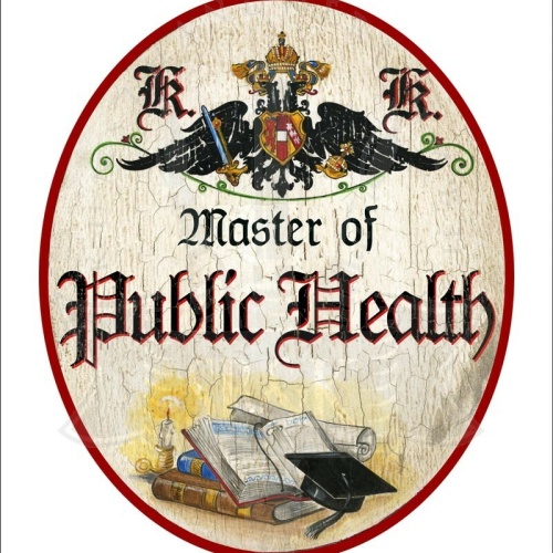 KuK Nostalgie Holzschild - Master of Public Health - Bücher Studentenhut TH