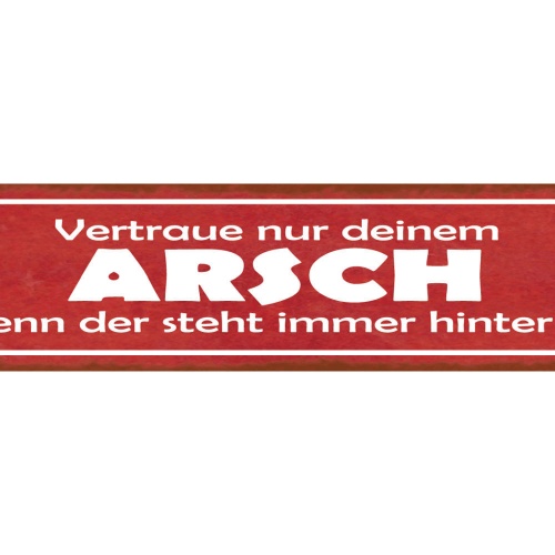 Schild Vertraue Nur Deinem Arsch Denn Der Steht Immer Hinter Dir Hintern 46 x 10
