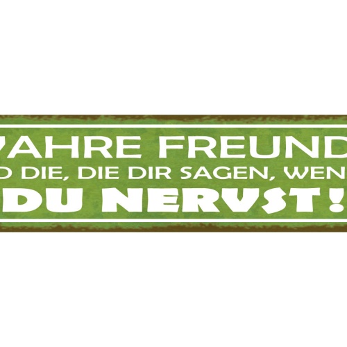 Schild Wahre Freunde Sind Die Die Dir Sagen Wenn Du Nervst 46 x 10 Blech od.Holz