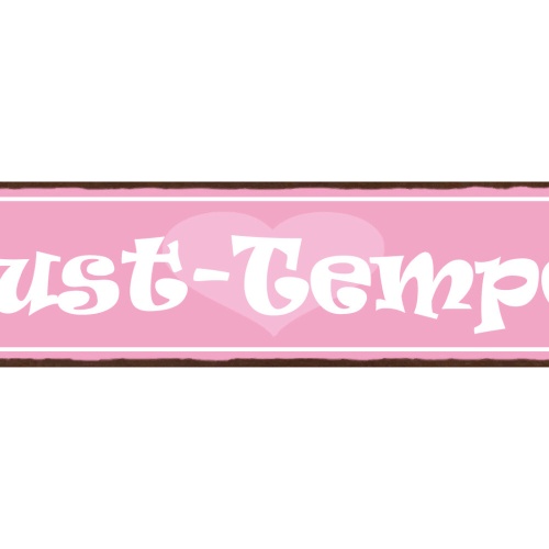 Schild Lust Tempel Liebe Erotik Schlaf Zimmer Beziehung 46 x 10 Blech od. Holz