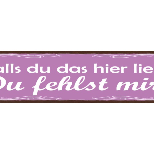 Schild Falls Du Das Hier Liest Du Fehlst Mir Liebe Vermissen 46x10 Blech od.Holz