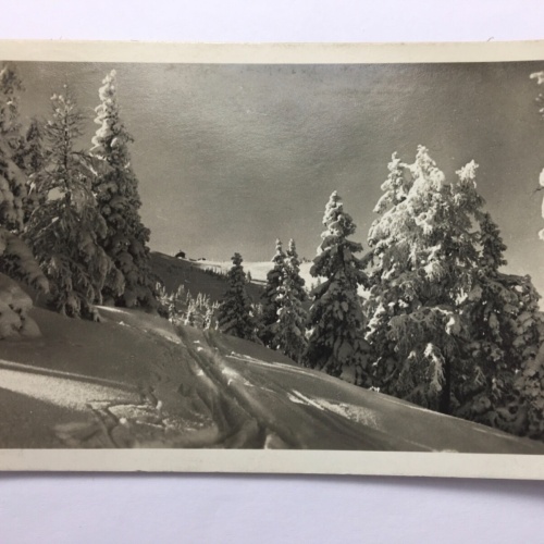 Schladmingerhütte auf der Planai - Schladming 30135 TH ShSt