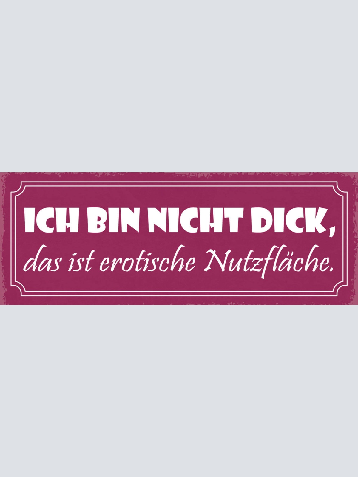 Schild Ich Bin Nicht Dick Das Ist Erotische Nutzfläche 27x10 Blech od.Holz