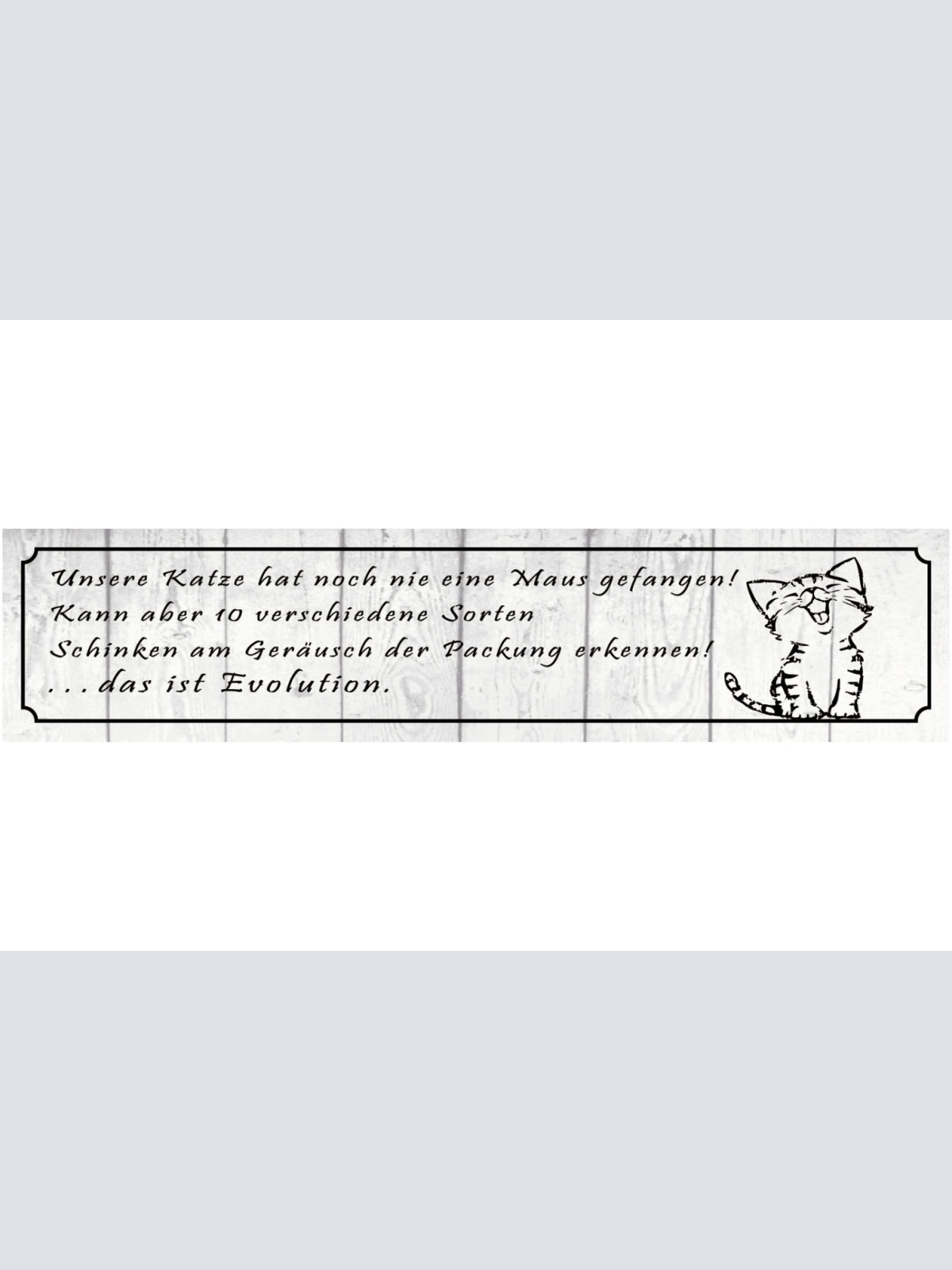 Schild Katze Maus Fangen Haus Tier Liebe Evolution Katzen 46 x 10 Blech od. Holz