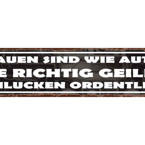 Schild Frauen Wie Autos Sexistisch Vergleich Mann Benzin 46 x 10 Blech od. Holz