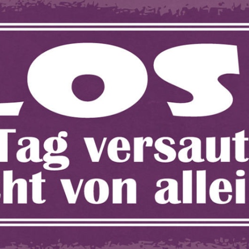 Schild Los Der Tag Versaut Sich Nicht Alleine Verderben 27x10 Blech od.Holz