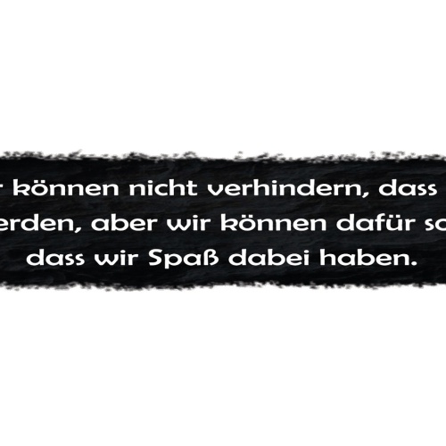 Schild Alt werden Alter Spaß haben Gemeinsam Altern Freude 46 x 10 Blech od.Holz