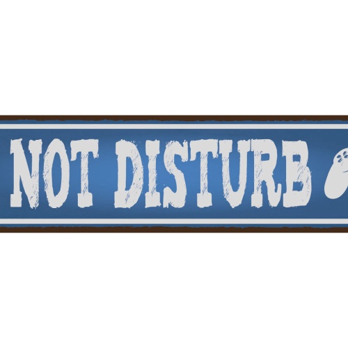 Schild Do Not Disturb Bitte Nicht Stören Ruhe Beschäftigt 46 x 10 Blech od. Holz