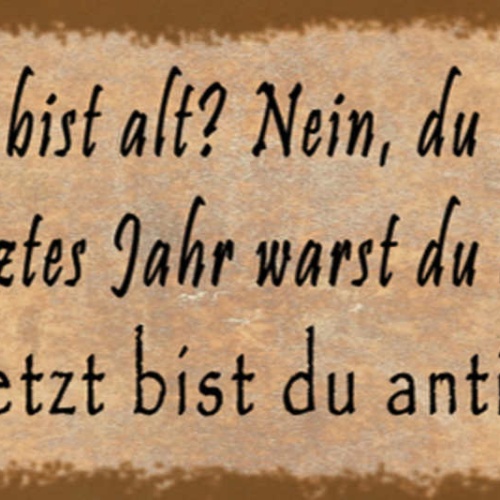 Schild Du Denkst Du Bist Alt Nein Letztes Jahr Warst Du Alt Jetzt Antik 27x10
