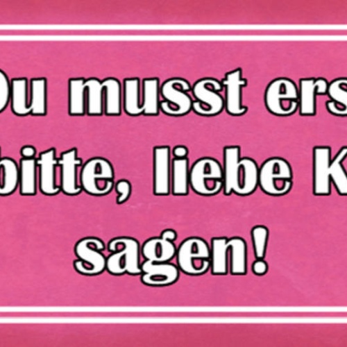Schild Du Musst Erst Bitte Bitte Liebe Königin Sagen Frau 27x10 Blech od.Holz