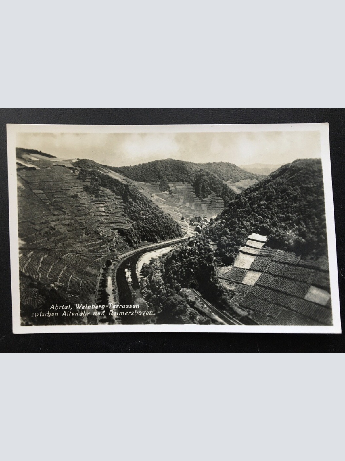 Abrtal - Weinberg-Terrassen - Altenahr Reimerzhoven - Deutschland 400214 TH