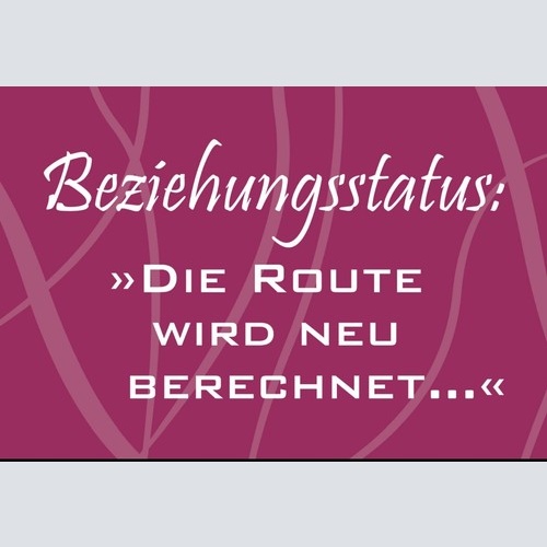 Schild Beziehungsstatus wird bei berrechnet 12x18 / 20x30 / 30x40 Blech od. Holz