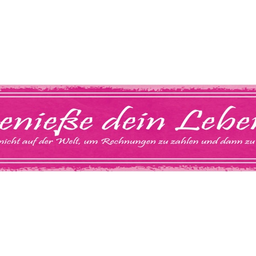 Schild Genieße Dein Leben Bist Nicht Auf Der Welt Rechnung Zu Bezahlen Sterben