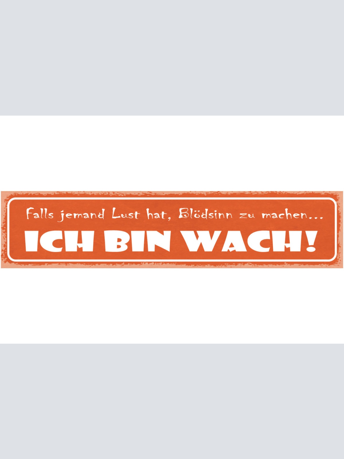 Schild Falls Jemand Lust Hat Blödsinn Zu Machen Ich Bin Wach 46 x 10