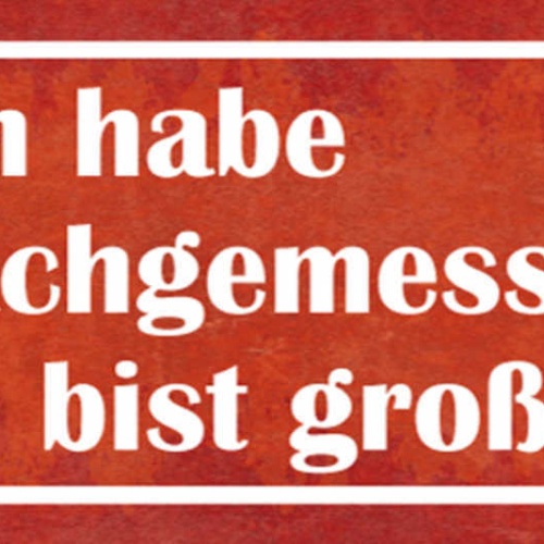 Schild Ich Habe Nachgemessen Du Bist Großartig Liebe Freunde 27x10 Blech od.Holz