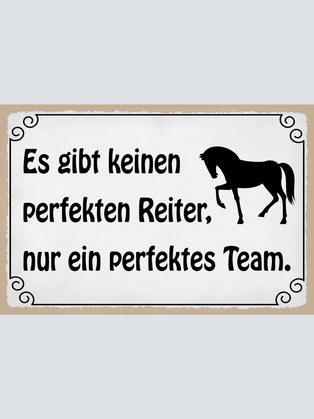 Schild Perfekter Reiter Team Pferd Reiten 12x18 / 20x30 / 30x40 Blech od. Holz