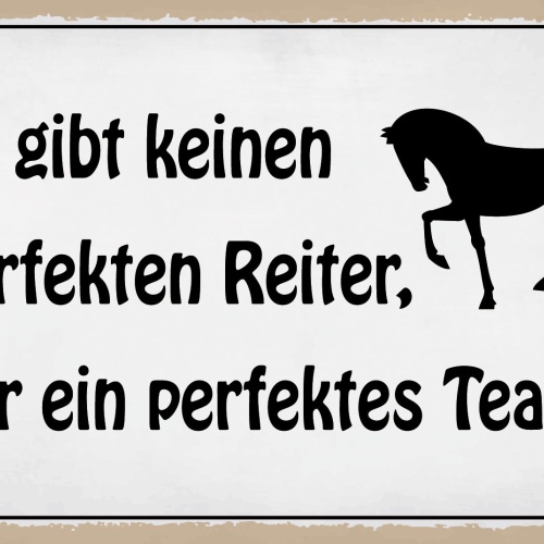Schild Perfekter Reiter Team Pferd Reiten 12x18 / 20x30 / 30x40 Blech od. Holz