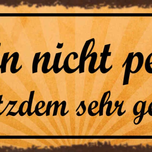 Schild Ich Bin Nicht Perfekt Aber Trotzdem Sehr Gelungen 27x10 Blech od.Holz