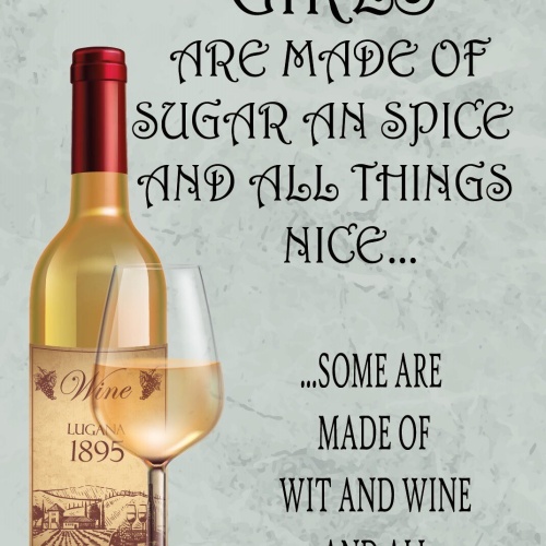 Schild Girls Mädchen Sugar Spice Wit Wine 12x18 / 20x30 / 30x40 Blech od. Holz