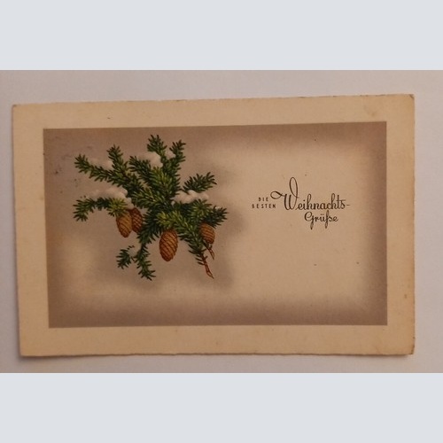 Die besten Weihnachtsgrüsse, Tannenzweig mit Zapfen Weihnachten 500118A gr D