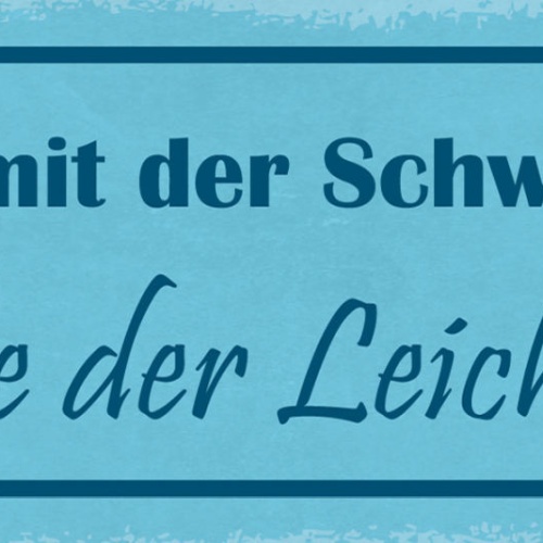 Schild Nieder Mit Der Schwerkraft Es Lebe Der Leichtsinn 27x10 Blech od.Holz