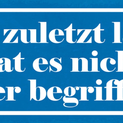 Schild Wer Zuletzt Lacht Hat Es Nicht Eher Begriffen Witz 27x10 Blech od.Holz
