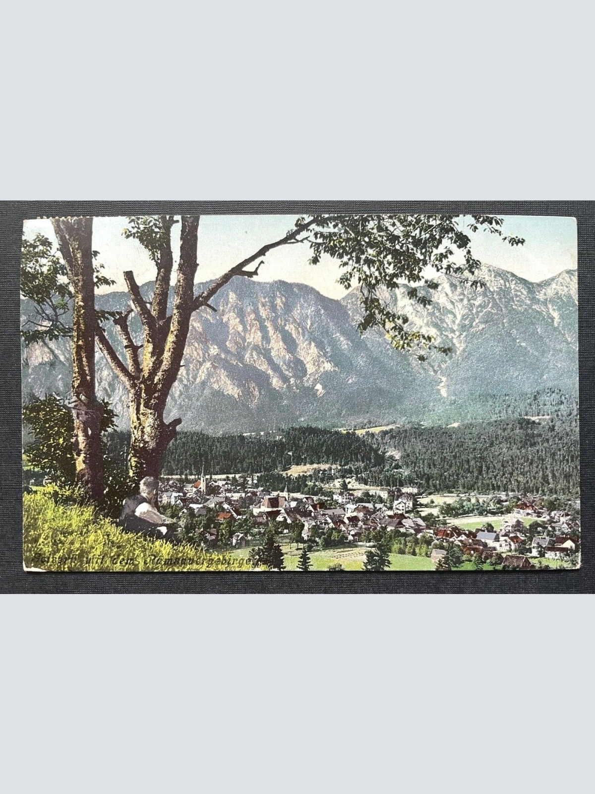 Goisern Blick Ortschaft Gebirge Berg Wald Salzkammergut Oberösterreich 410655