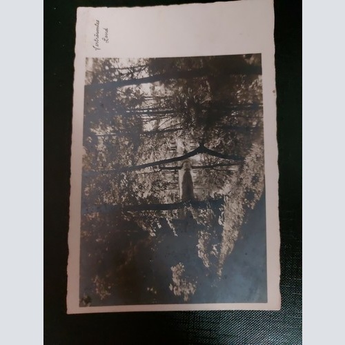 Verträumtes Land Fluss Wald Wiese 402510 WM