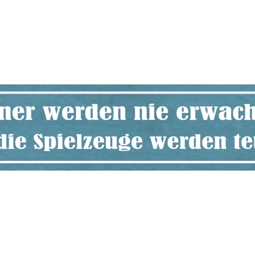 Schild Männer Werden Nie Erwachsen Nur Die Spielzeuge Werden Teurer 46 x 10