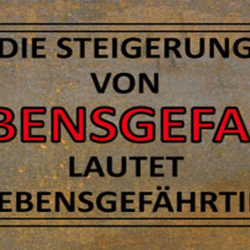 Schild Die Steigerung Von Lebensgefahr Lautet Lebensgefährtin Ehe Liebe 27x10