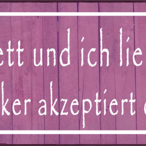 Schild Mein Bett & Ich Lieben Uns Mein Wecker Akzeptiert Das Nicht 27x10