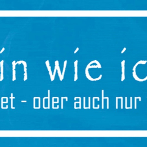 Schild Ich Bin Wie Ich Bin Eingebildet Od. Auch Nur Verwirrt 27x10 Blech od.Holz